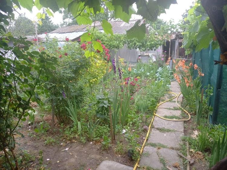 Casă cu 4 camere cu Teren 420 Mp în Central