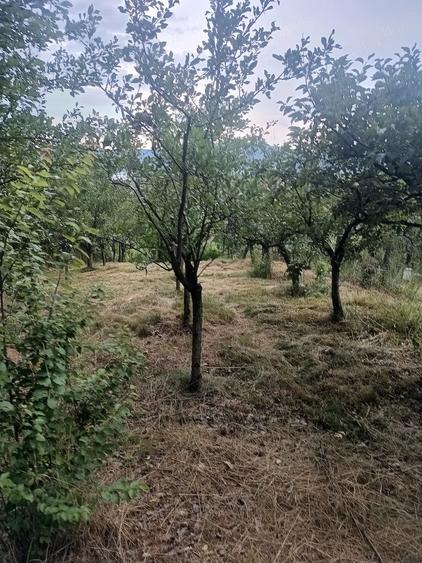 Casă cu Teren 1187 Mp în Cetățuia