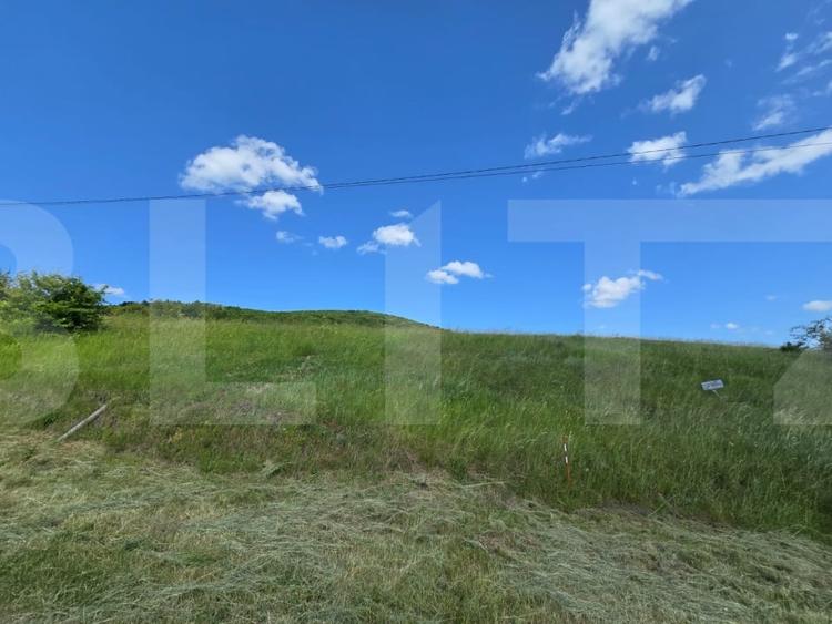 Teren de investitie in localitatea Ciurila - 3