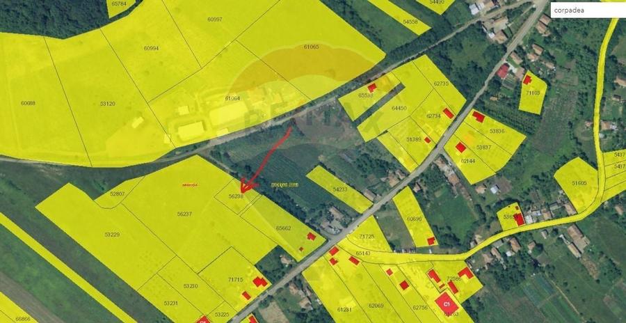 Teren Construcții intravilan de 1000 mp, în Corpadea