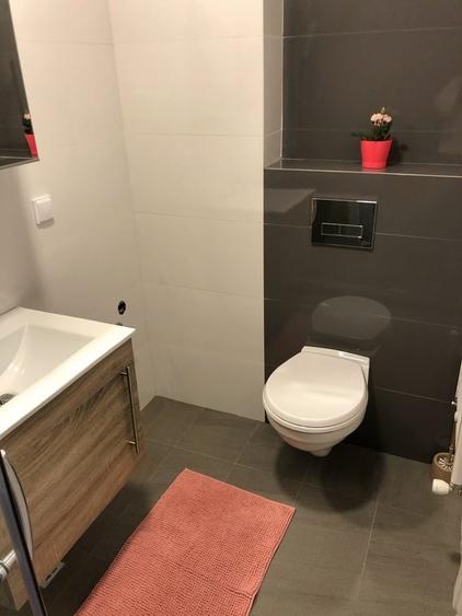 Garsoniera Brancoveanu Bloc Nou Parcare Utilat Modern - 11