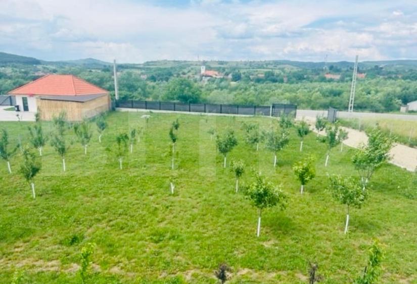 Casă individuală cu 6 camere cu Piscina în Exterior Est