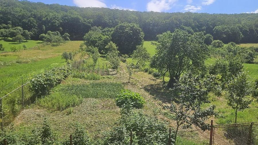 Casă cu 8 camere cu Teren 4500 Mp în Vâlcele