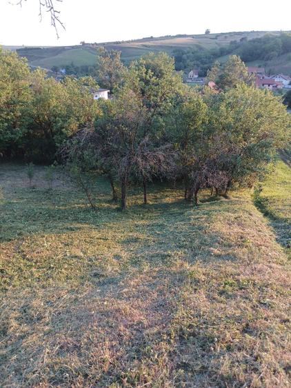 Casă cu 2 camere decomandat în Soroștin