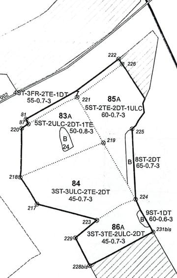 Vând pădure 48 ha – 2 parcele alăturate 22 ha + 26 ha, Autostrada A1 Km 59 - 2