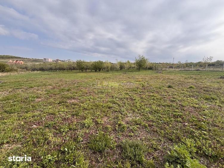 Teren de 793 mp, în Paleu