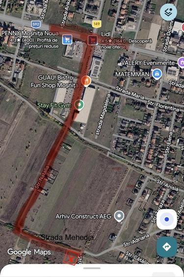 Spațiu comercial, de 100 mp, în Moșnița Nouă