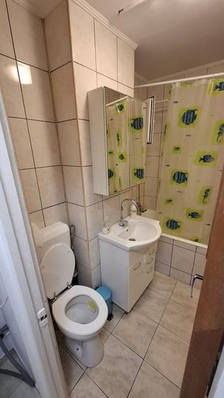 Apartament cu 2 camere semidecomandat, mobilat în Teiul Doamnei