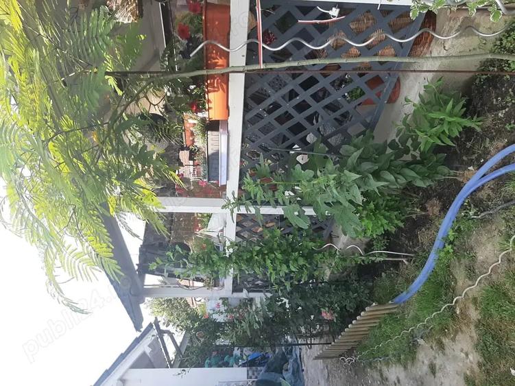 Casă cu 5 camere în Sânnicolau Mare