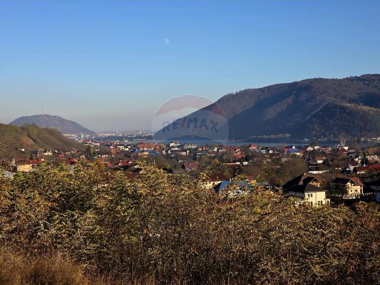 Teren Construcții intravilan de 6874 mp, în Alexandru cel Bun