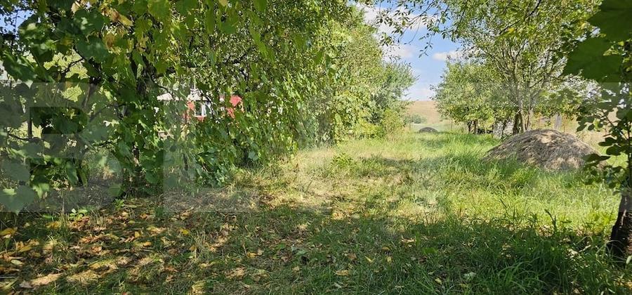 Teren extravilan de vanzare, 4000 mp, zona Simeria - 5