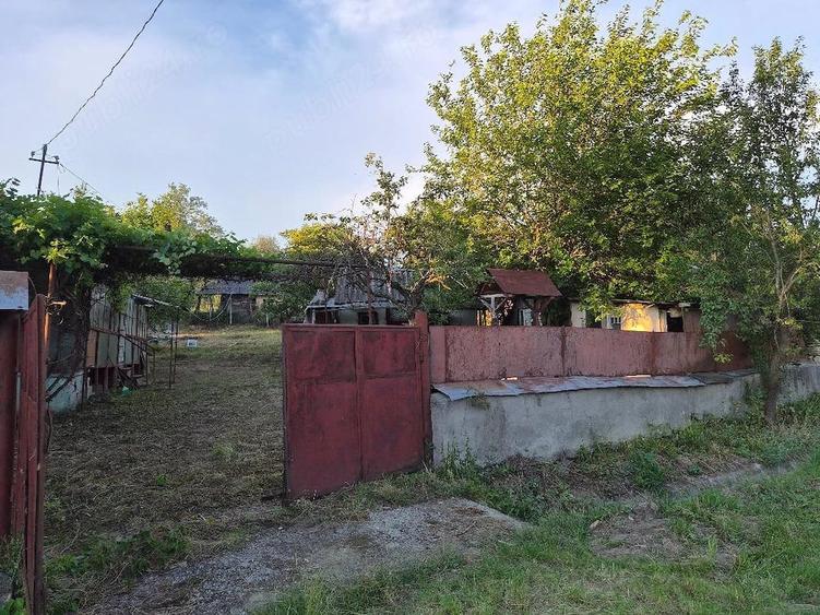 Casă cu Teren 800 Mp în Dăbâca