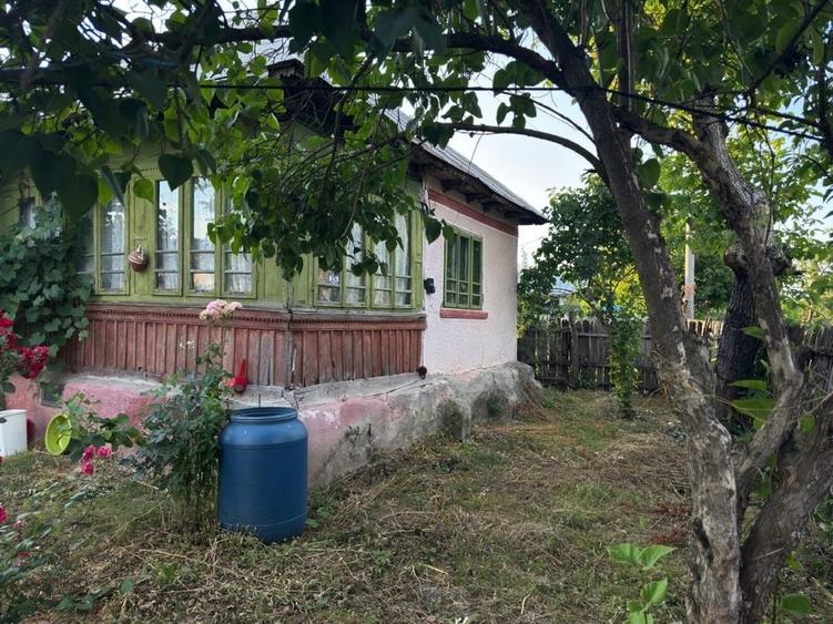 Casă cu 4 camere în Tetoiu