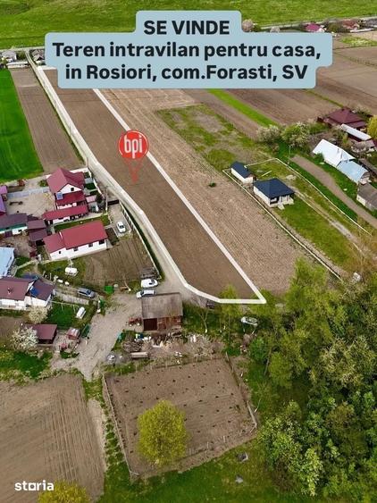 Teren de 6200 mp, în Forăști