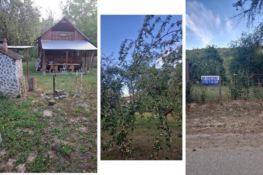 Teren Construcții extravilan de 5600 mp, în Arăneag
