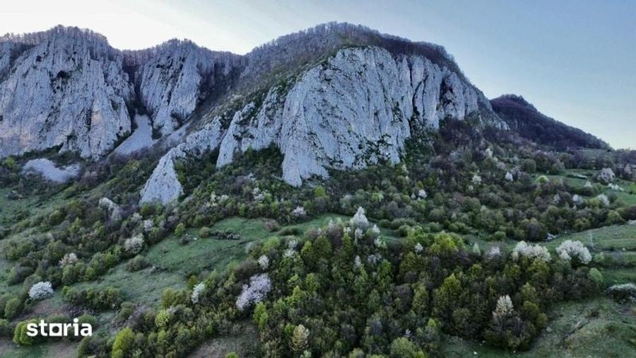 Teren de 35000 mp, în Ciuruleasa