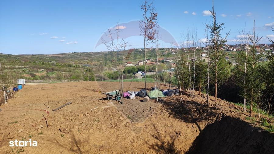 Teren de 1200 mp, în Iorga
