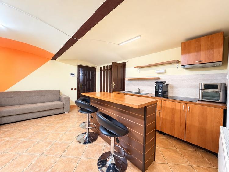 Apartament cu 2 camere semidecomandat, mobilat în Elisabetin