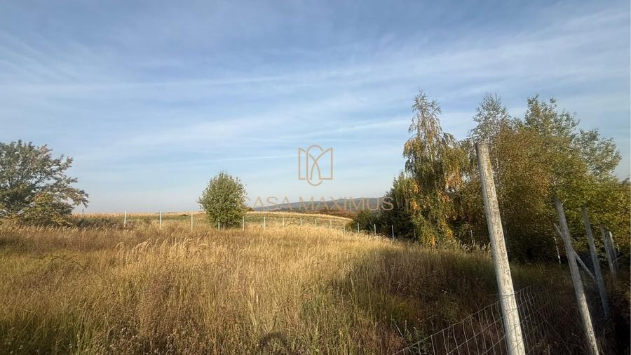 Teren Construcții extravilan de 930 mp, în Șura Mare