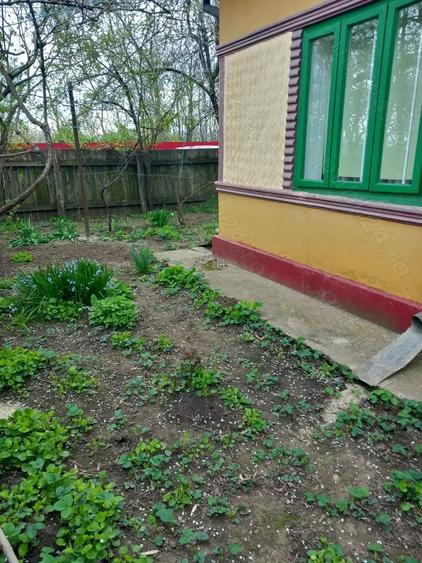 Casă cu 3 camere cu Teren 1980 Mp în Silistraru