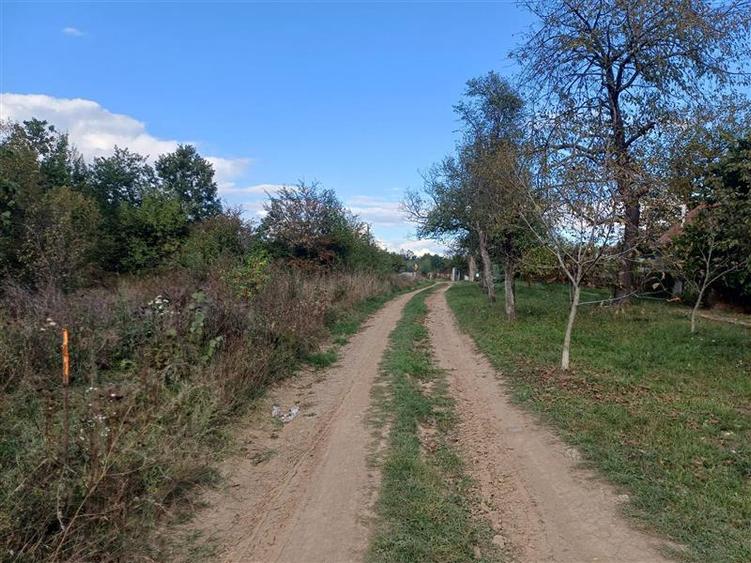 Teren Construcții intravilan de 2819 mp, în Calea Caransebeșului