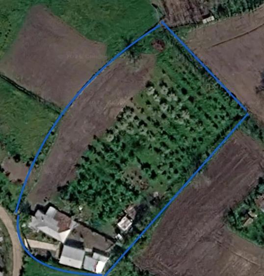 Casă cu 4 camere cu Teren 4300 Mp în Ungureni