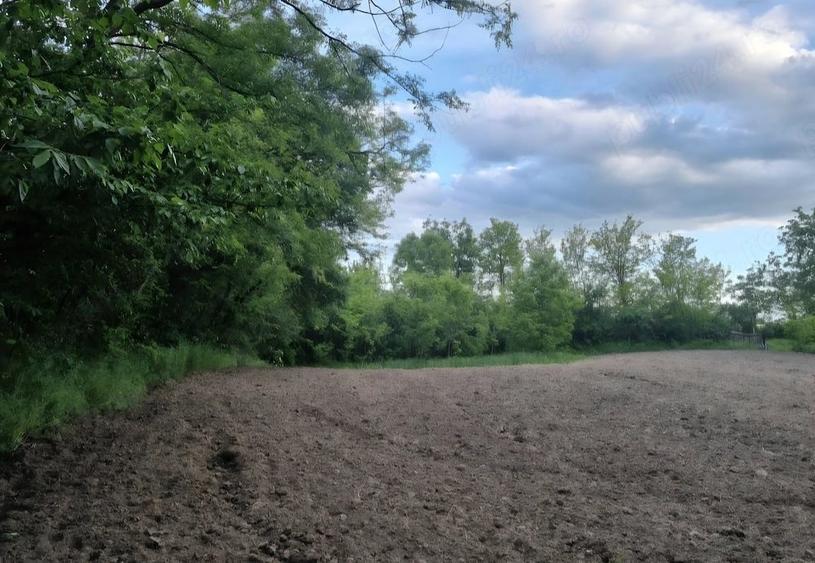 Teren de 2000 mp, în Dărmănești
