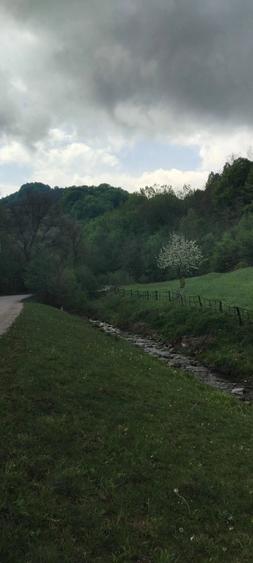 Teren de 1727 mp, în Stănija