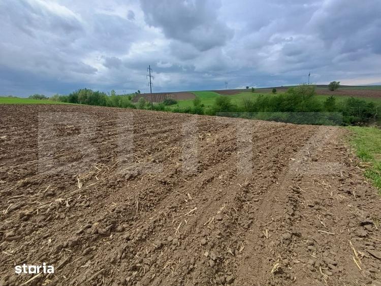 Teren de 5000 mp, în Bosanci