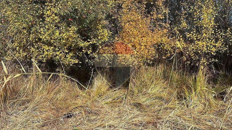 Teren agricol extravilan de 2900 mp, în Gheorghieni