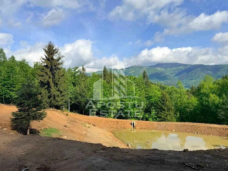Teren de 18000 mp, în Central