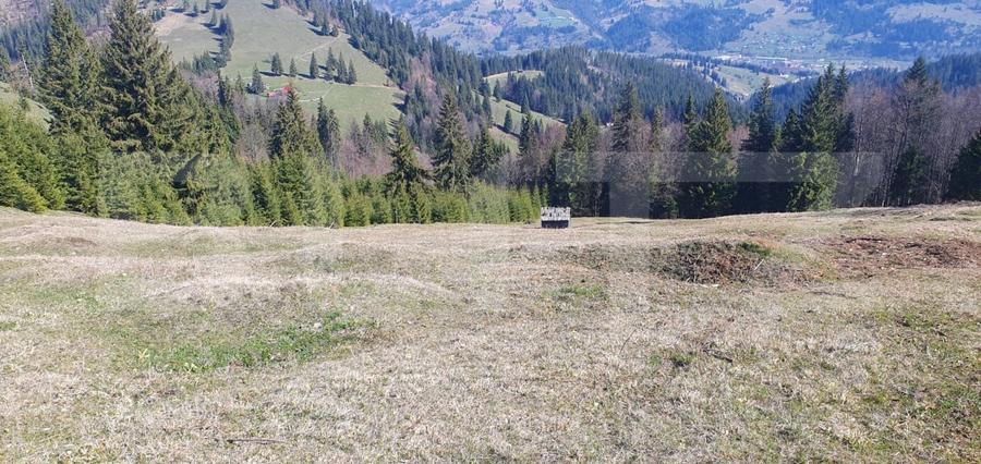 Teren Construcții extravilan de 206189 mp, în Vatra Dornei