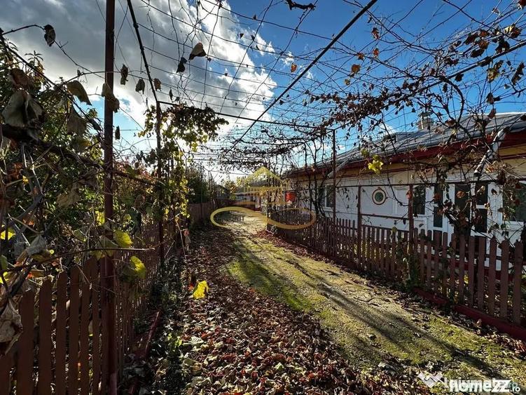 Casă cu 4 camere cu Teren 4500 Mp în Negri