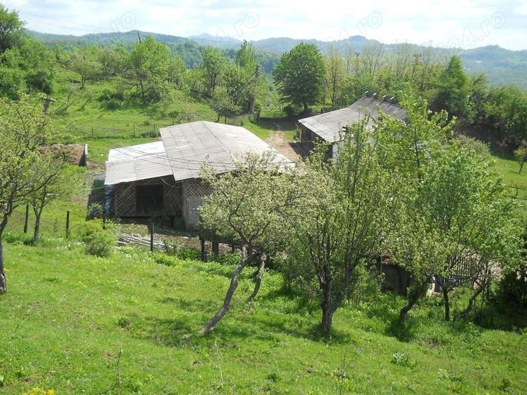 Teren în Toculești