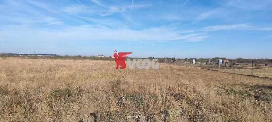Teren de 900 mp, în Torontalului