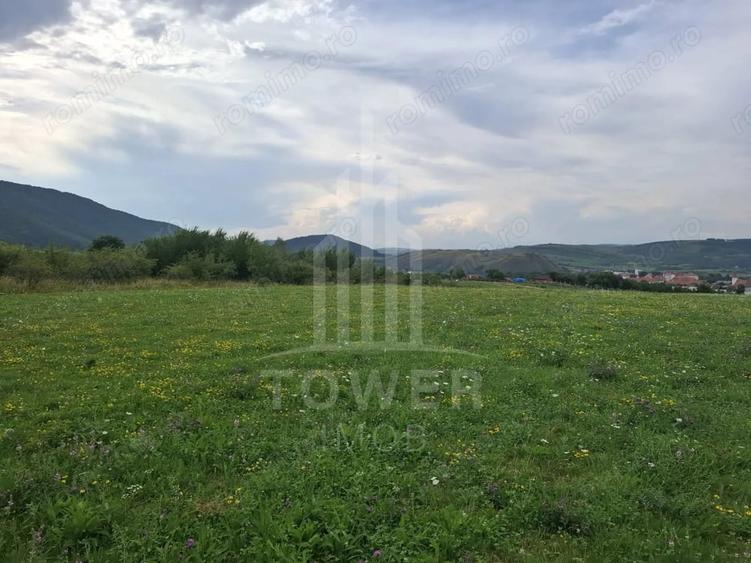 Teren de 1500 mp, în Orlat