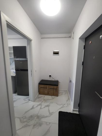 Apartament cu 2 camere semidecomandat, mobilat în Lunca Cetățuii