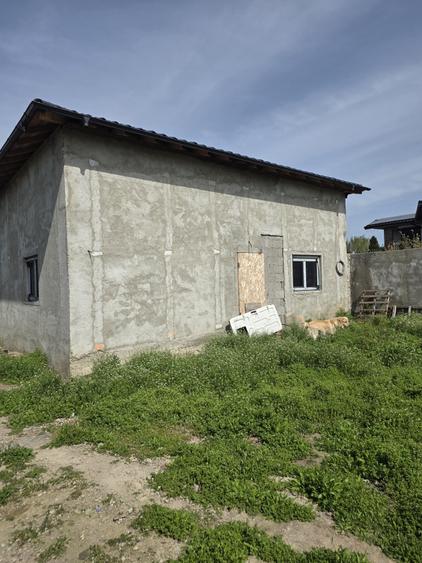 Casă cu 4 camere în Radu Negru
