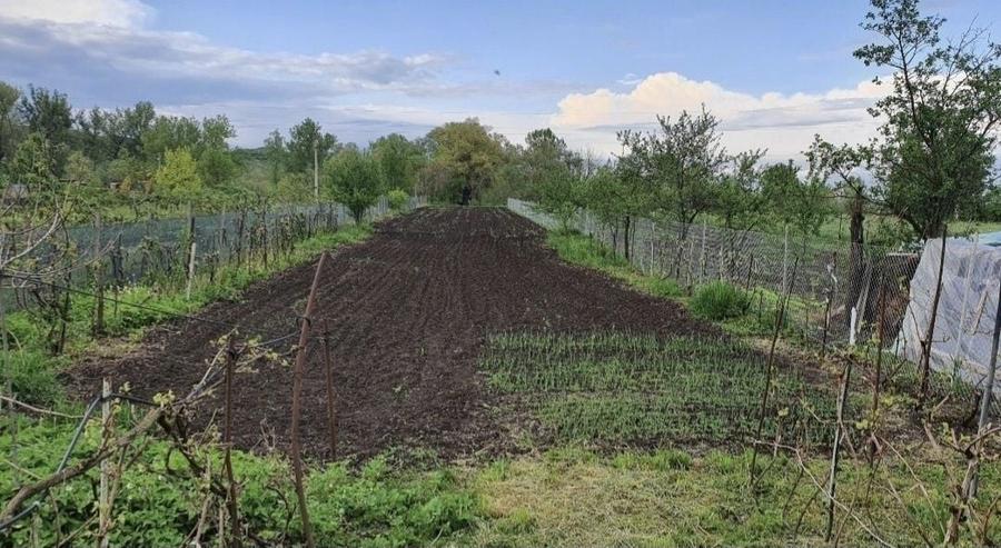 Casă cu 3 camere în Central