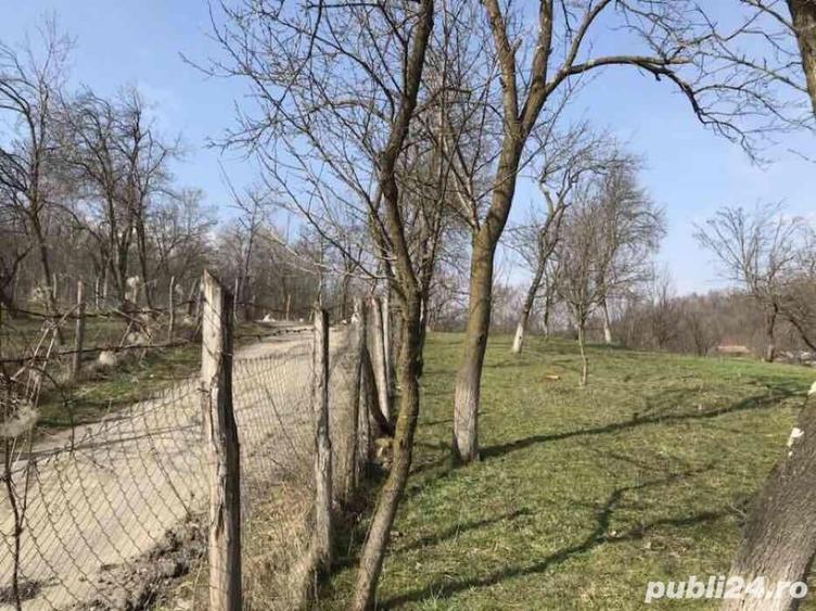Teren de 1660 mp, în Teișani