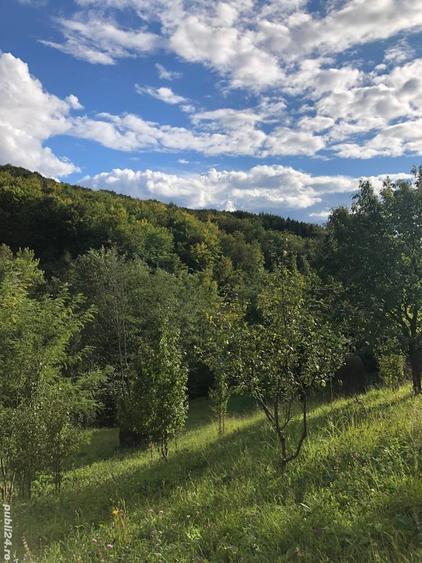 Teren de 9104 mp, în Brebu