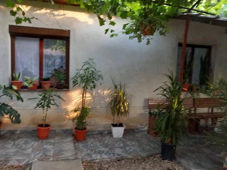 Casă cu Teren 1449 Mp în Cadea