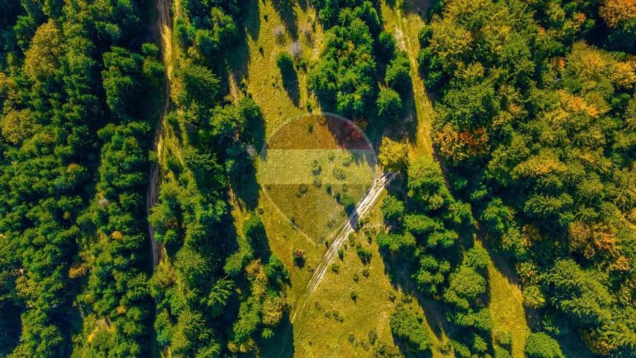 Teren Construcții intravilan de 2400 mp, în Timișu de Jos