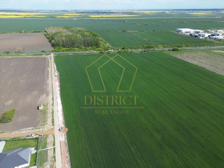 Teren Construcții intravilan de 6411 mp, în Sânandrei