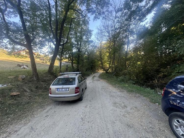 Teren de 5500 mp, în Tutana