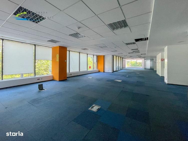 Spațiu comercial, de 1,250 mp, în Basarab