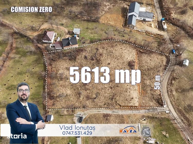 Teren de 5613 mp, în Șișești