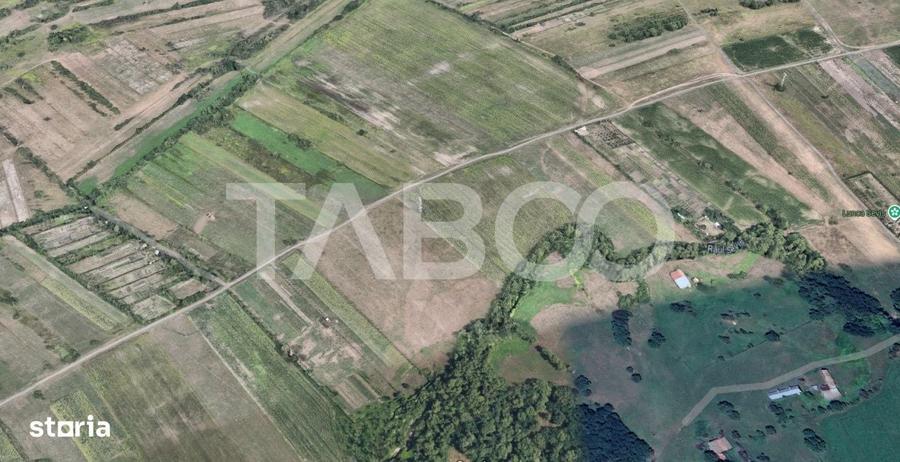 Teren de vanzare 17.000 mp in vecinatatea padurii Dumbrava - 1