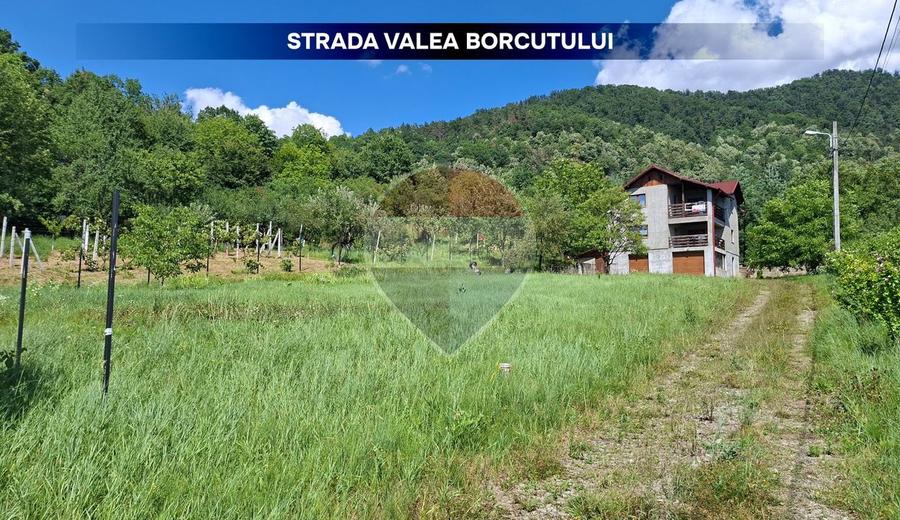 Casă individuală cu 3 camere cu Teren 1594 Mp în Valea Borcutului