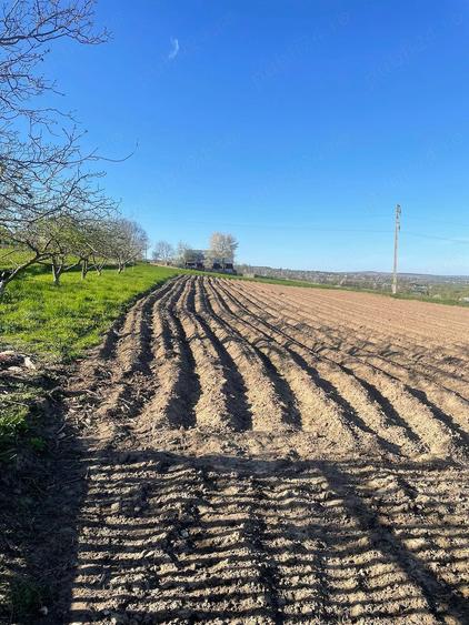 Casă cu Teren 5200 Mp în Pârteștii de Jos
